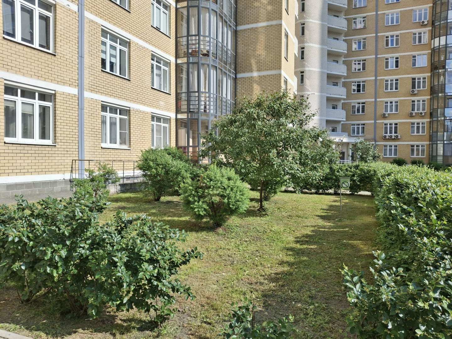 -1x-1xMQ_20250605_164117.jpg