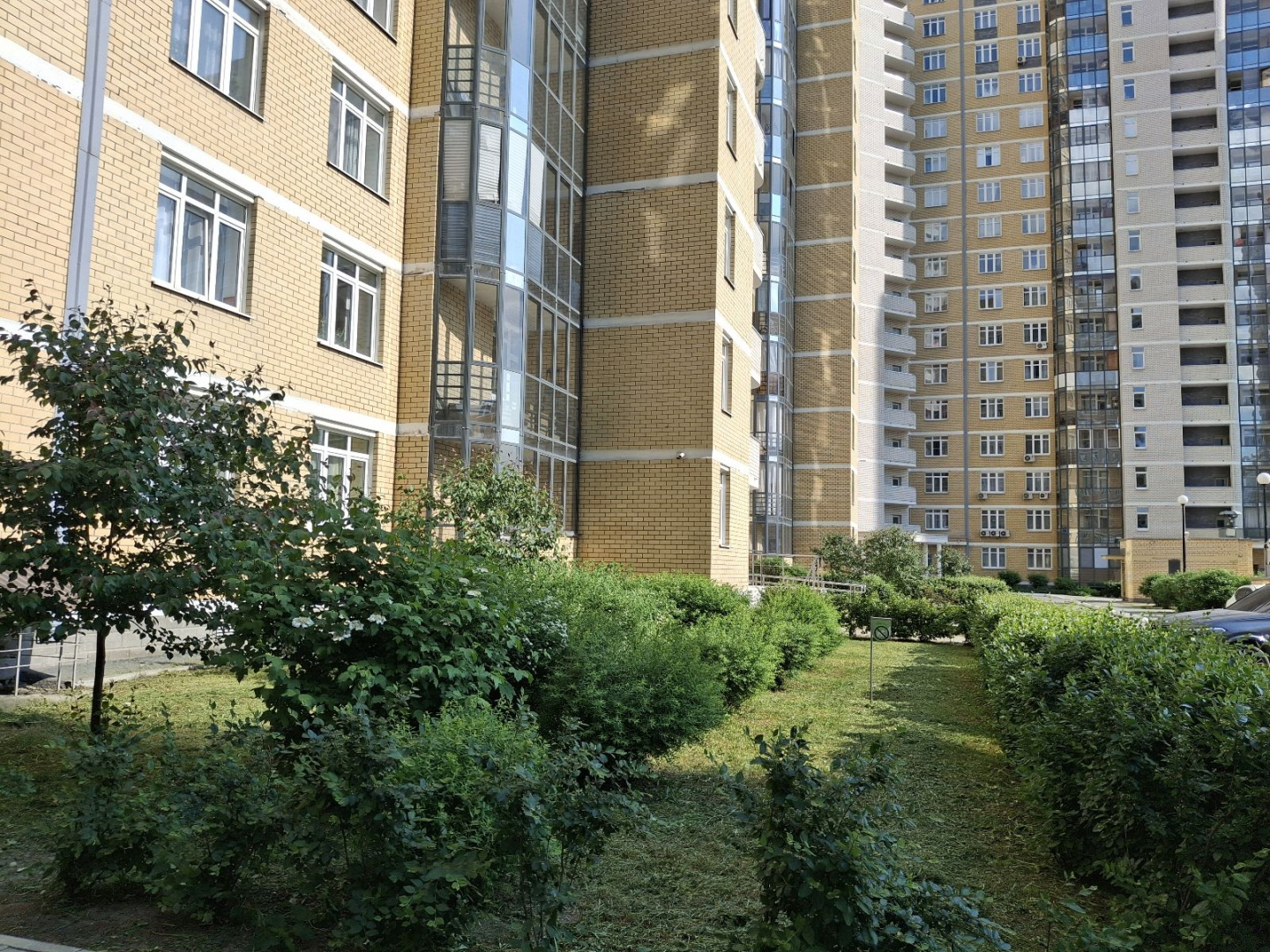 -1x-1xMQ_20250605_164220.jpg