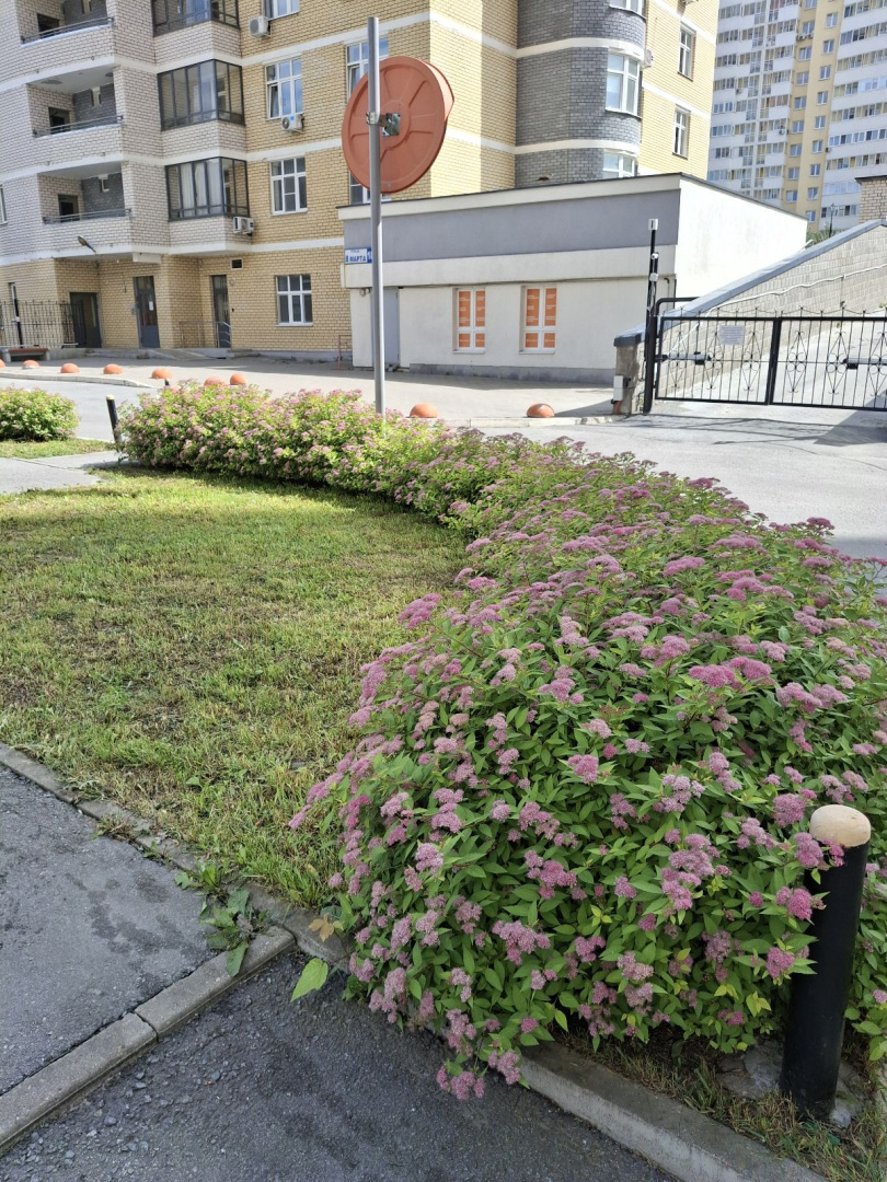 2 (25).jpg