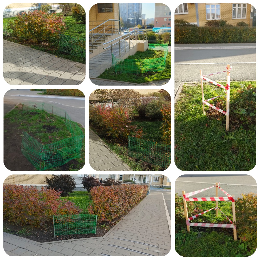 MyCollages (20).jpg