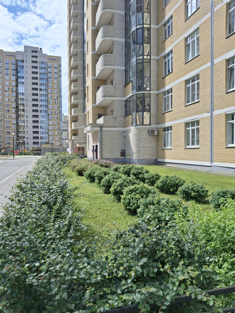 5 (10).jpg